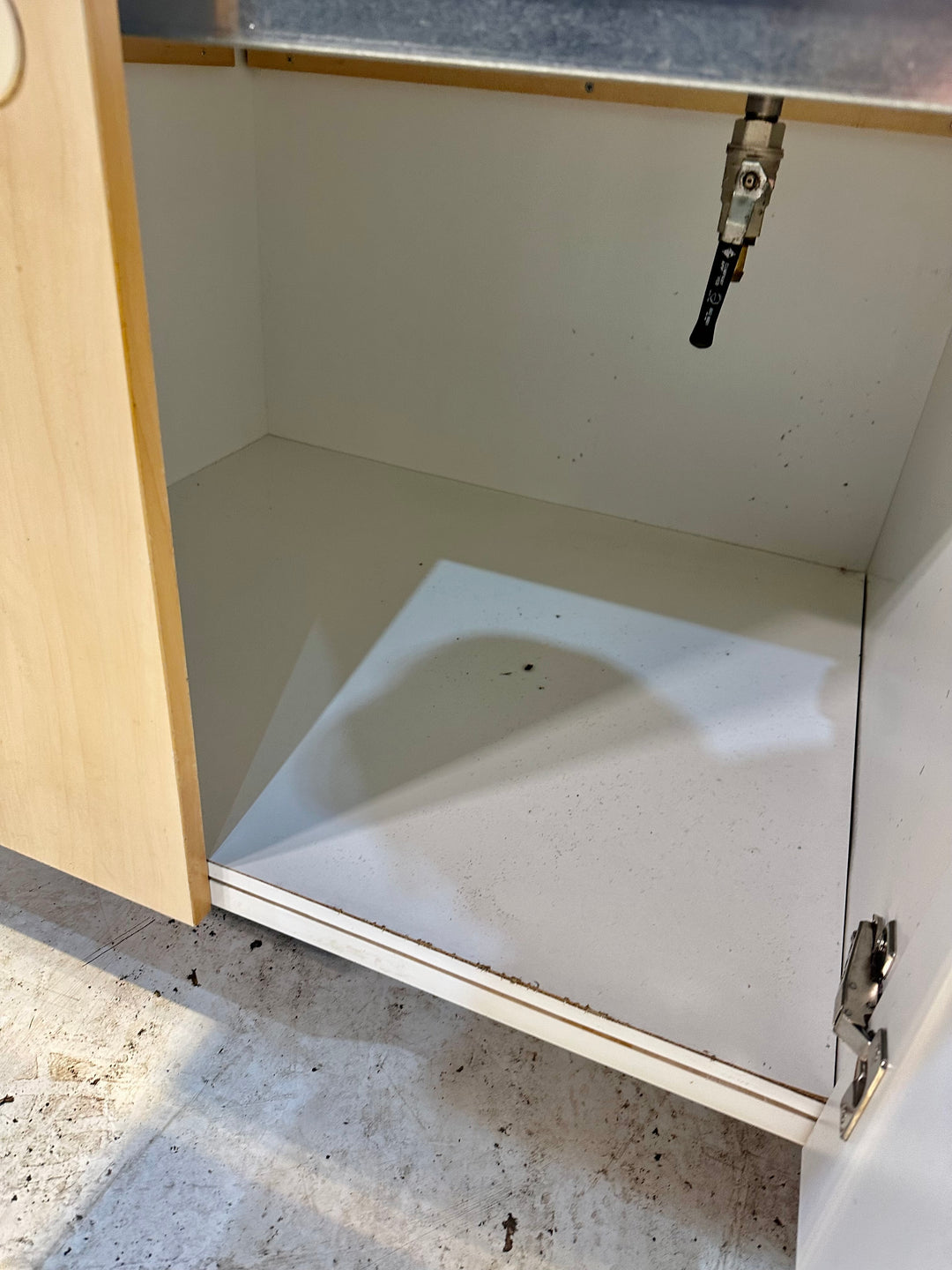 Buffettvaunu kylmä 1200